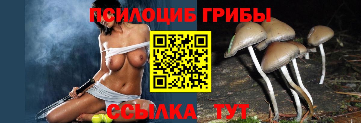 Псилоцибиновые грибы MAGIC MUSHROOMS  Галлюциногенные грибы Psilocybe  Салехард  Вход с VPN 